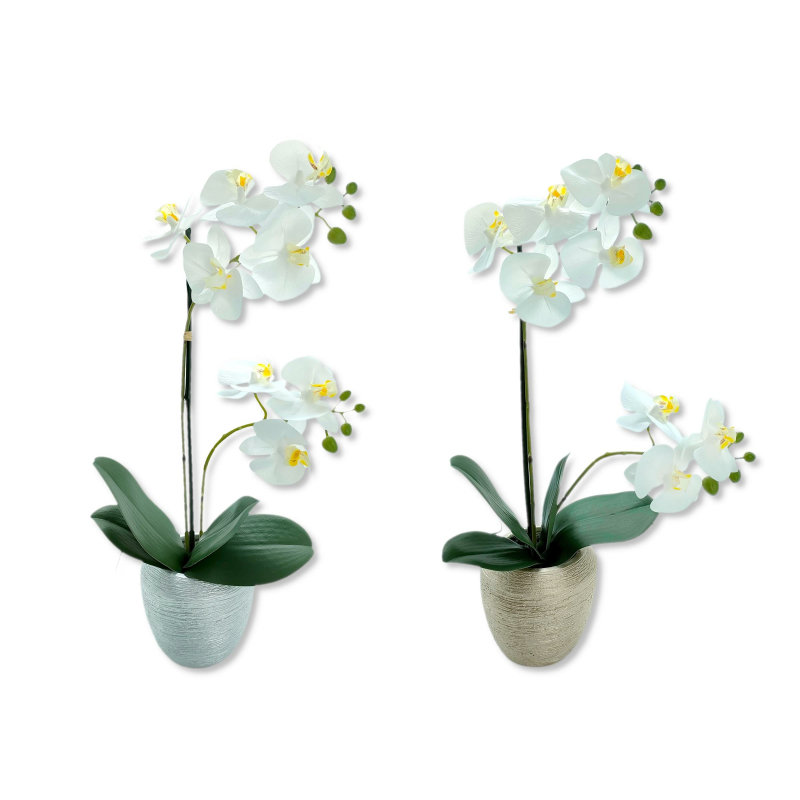 Phala, künstliche 47cm € Topf 19,99 Kunst-Pflanze Blüten Orchidee weiße Keramik