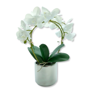 Kunst-Pflanze Orchidee weiße Blüten 47cm Phala, 19,99 Topf € Keramik künstliche