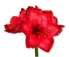 Kunst-Pflanze Amaryllis XXL rote Blüten 75cm...
