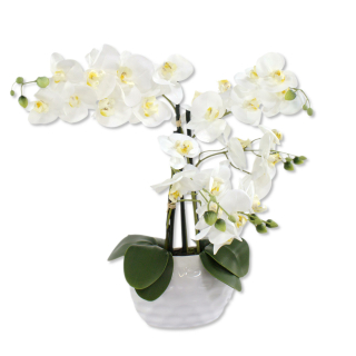 Keramiktopf cm Jetzt Orchidee mit ca. Kunstpflanze 37,99 hoc, - 53 € kaufen! XL