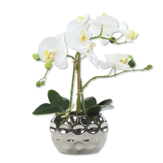 53 Orchidee - kaufen! mit ca. Jetzt cm Keramiktopf 37,99 Kunstpflanze hoc, € XL
